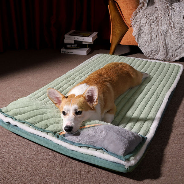 Padded Mattress For Dogs