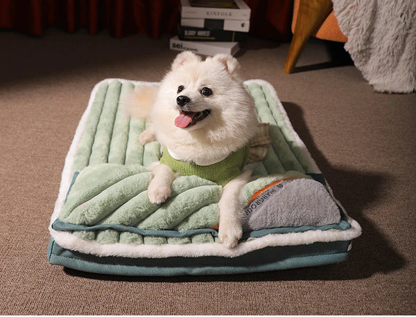 Padded Beds For Dogs